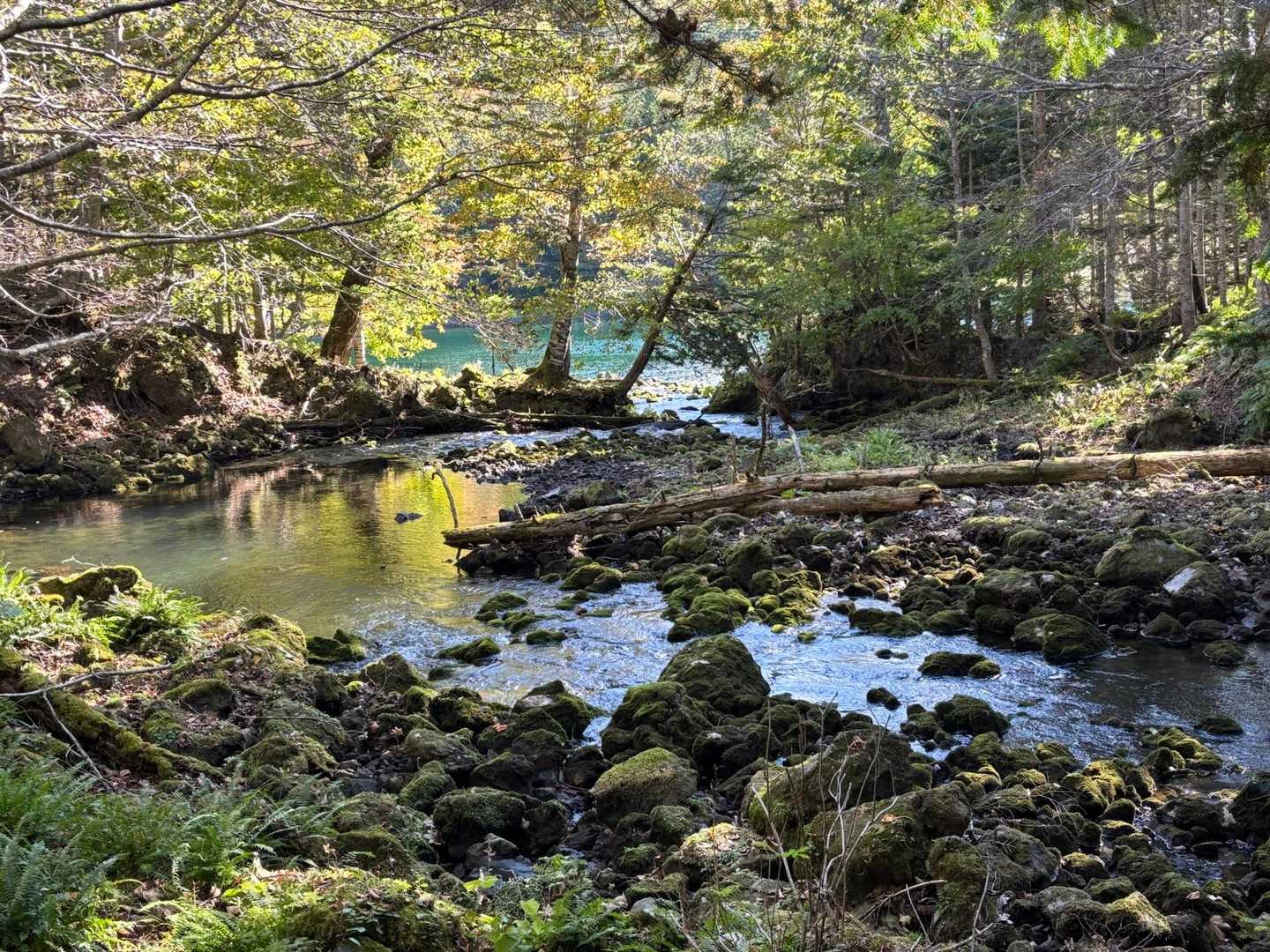 太郎湖が近づくと、この景色