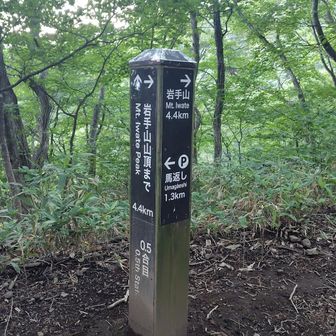 0.5合目 
まだ1.3Kmもあるんだ😰