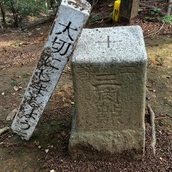 三角点です