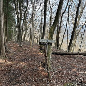どこに進んでるか解らなくなってくる 槙ノ尾山