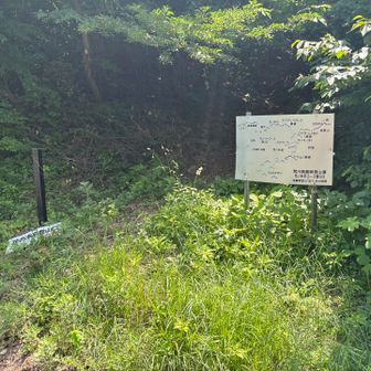 ショートカットが何箇所かあるようですが、最初のは見落としてしまいました😅