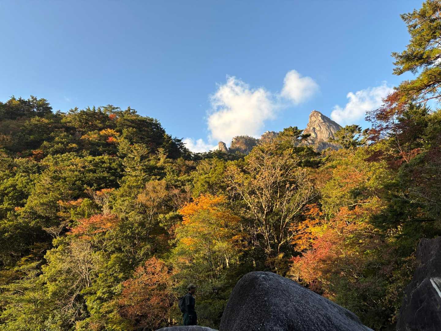 坊主尾根コース | ハシゴ・鎖場多数。九州最後の秘境と呼ばれる大崩山への写真