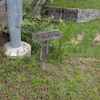 ここ、山王バス停近くの登山口から登ればよかったてす！