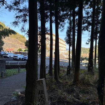 左に4〜5台、右側にも同数くらい車を停められます