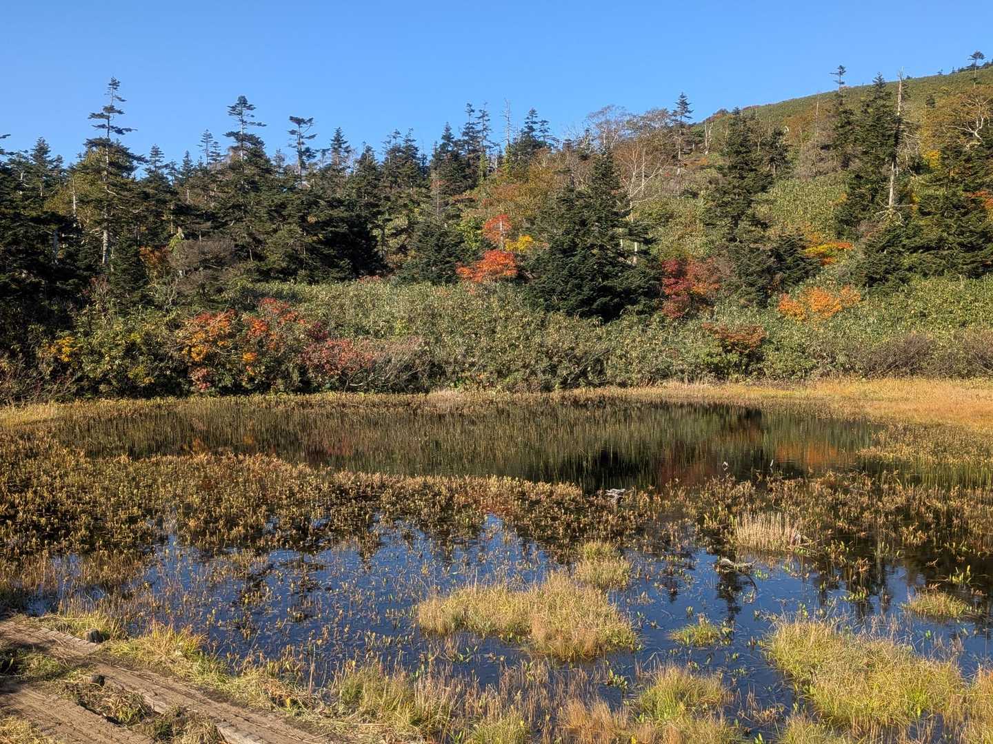 三ツ石山山荘前の池
風もなくとっても綺麗✨