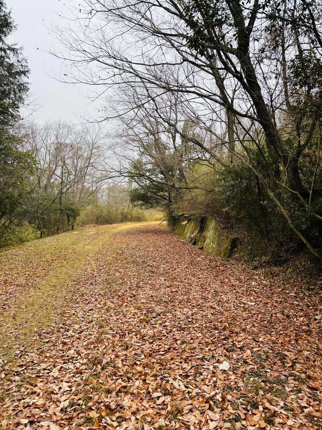 広いところ通ります😅