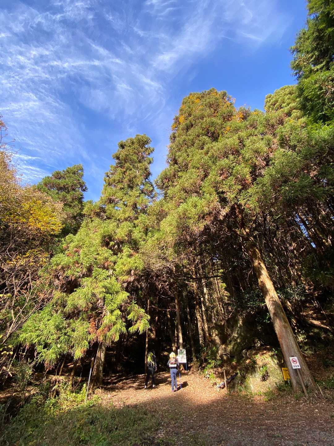 青い空。白い雲。
お誕生日のmoco*は、誕生山⛰の麓にいました