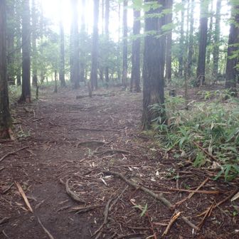 黒の田東湿地右へ