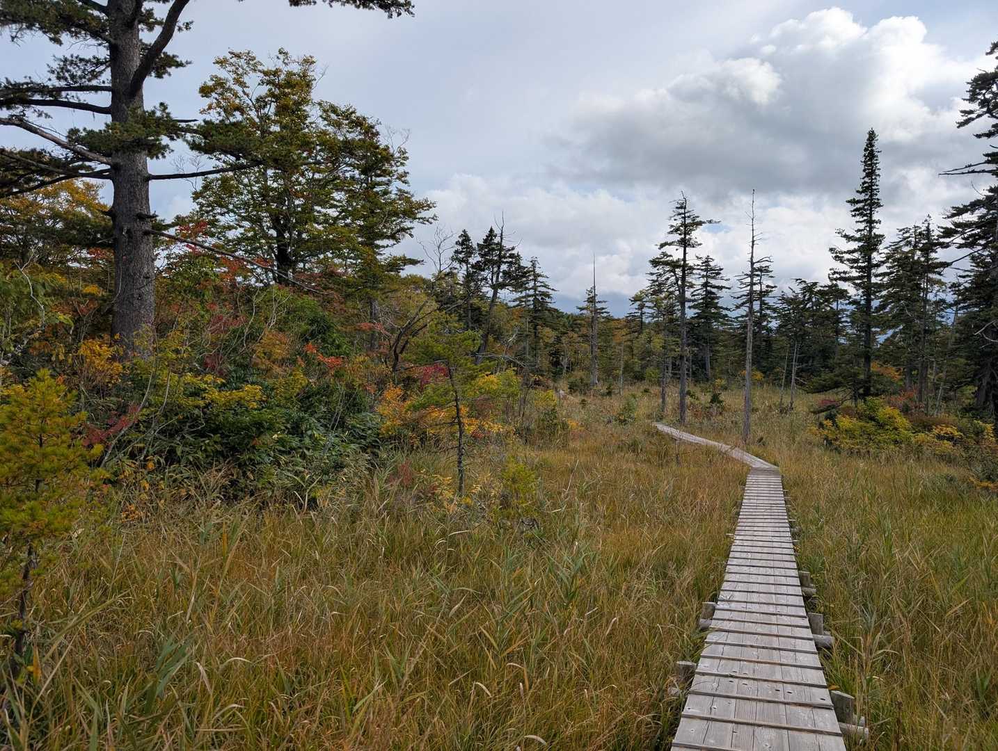 デコ平湿原まで戻ってきました。
無事、下山。