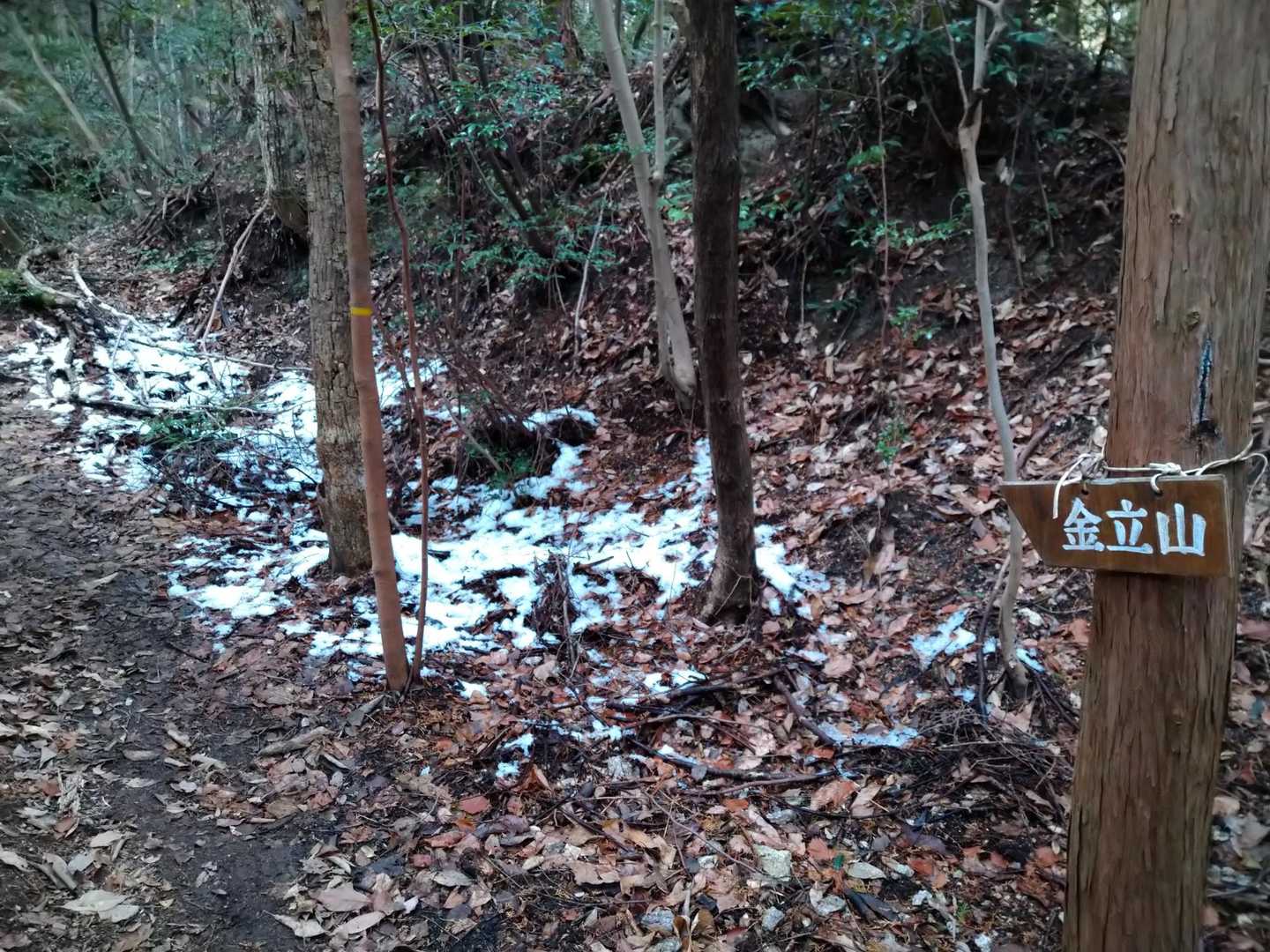 所々雪が残っています☃