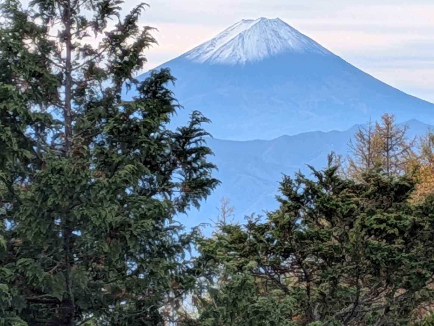 大沢ノ頭-小楢峠-小楢山 往復コースの写真