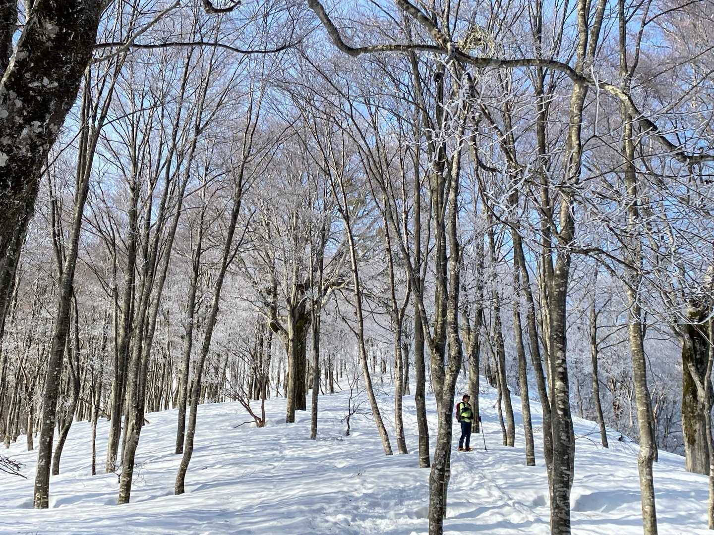 栃谷登山口-片折岳-金剛堂山-中金剛堂山 往復コースの写真