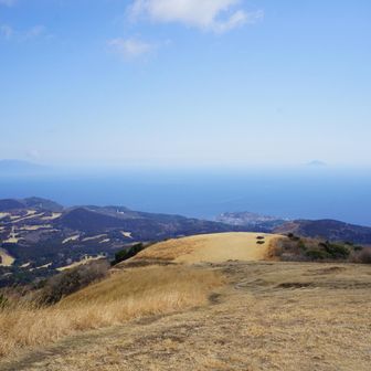 🫶
帰り、狩野川沿いの桜が見頃そうでした🌸