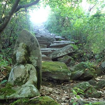 上宮手前の石段もあれている。