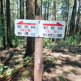 岩湧山へ行きまーす👣