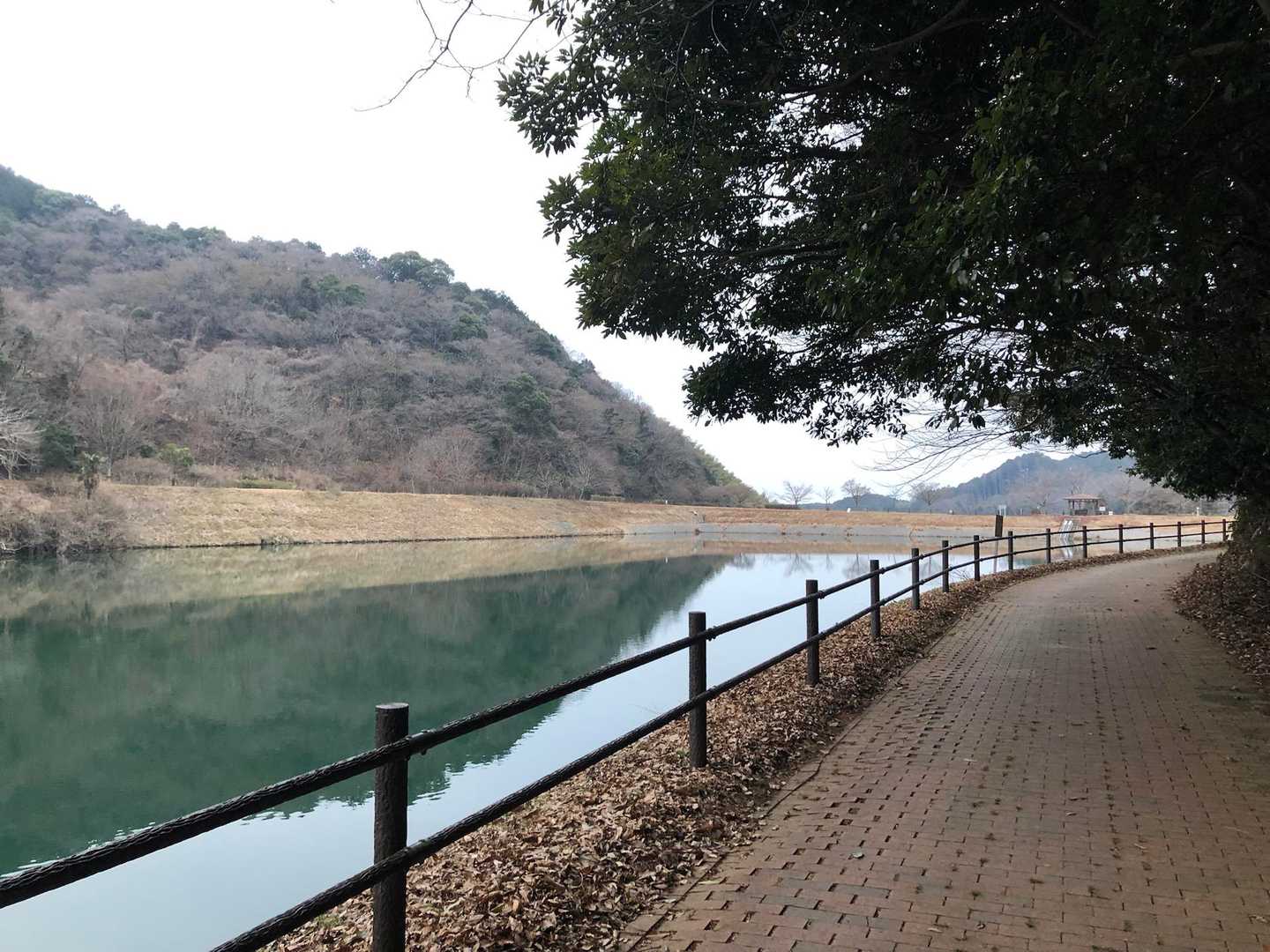 大目配-薬王寺峠-京王山-久山-妙見山 周回コースの写真