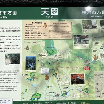 天園をずっと天国😇🪽コースと読んでました
