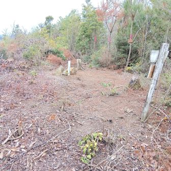 山頂広場展望良好(今日は少しガスッてますが😅)