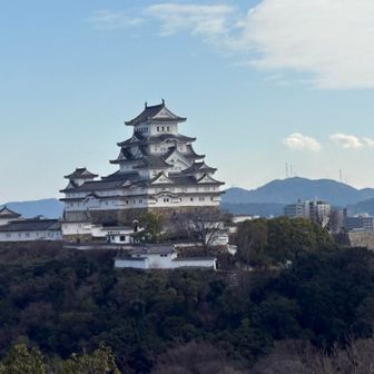 裏からの姫路城🏯