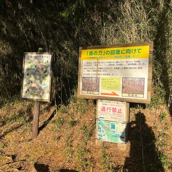 駐車場のトイレは綺麗でした✨