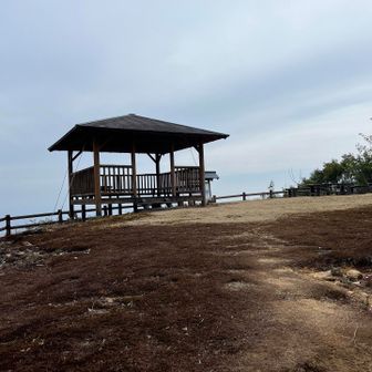 山頂から少し降ったところに桜の森広場。