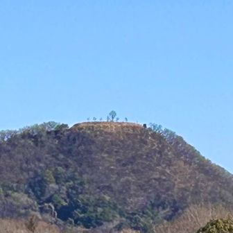 山頂のシンボルツリー🌳
桜の木が整列してるのもかわいい☺️