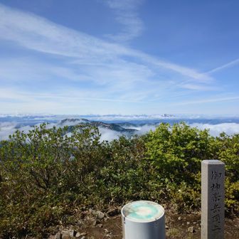 天気が良ければ、もっといい感じなんでしょうね😊