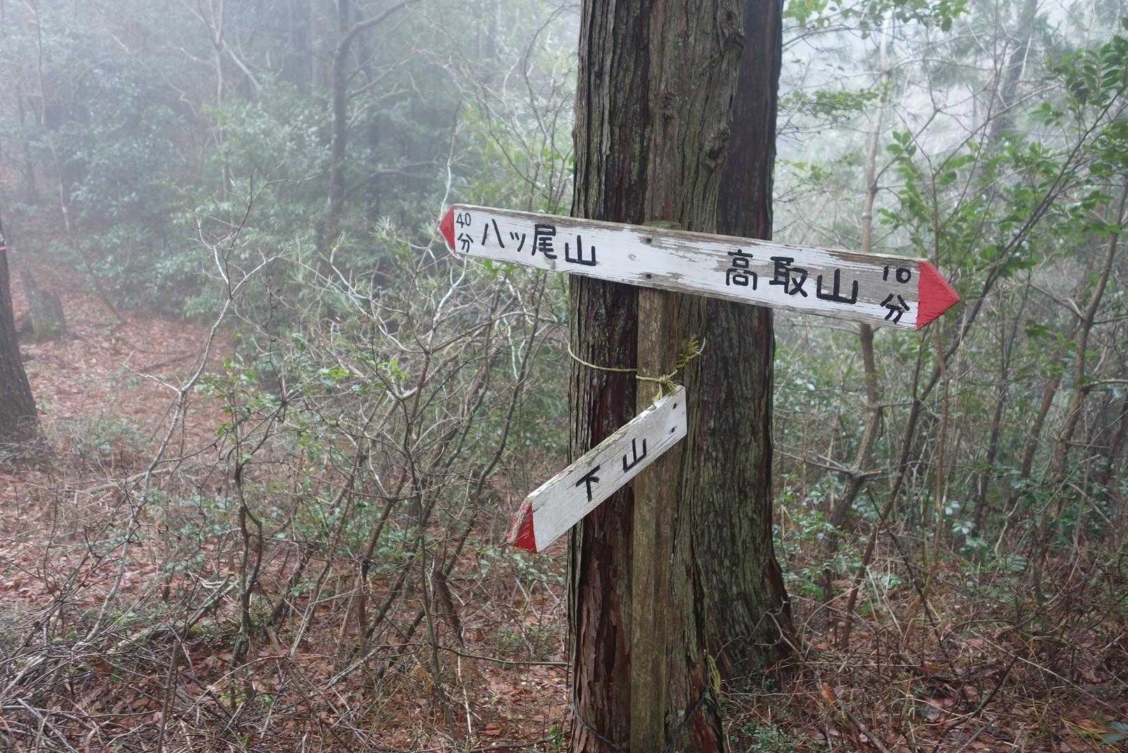 八ツ尾山との分岐