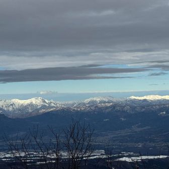 もうずっと眺めていられる😚