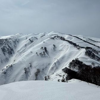 徐々に曇ってきました。
