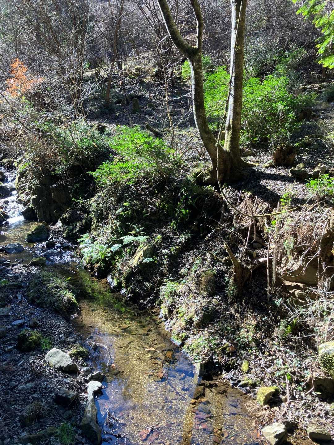 天守閣跡-北高尾富士見台-板当山-板当峠-狐塚峠-杉ノ丸- 縦走コースの写真