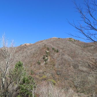 男三瓶山を下りてきて
振り返る