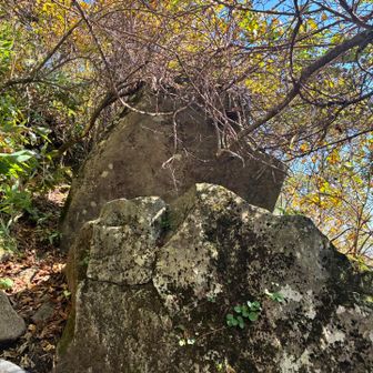 結局戻り、夏道へ。
戻ったおかげで頑固岩さんに会えました。