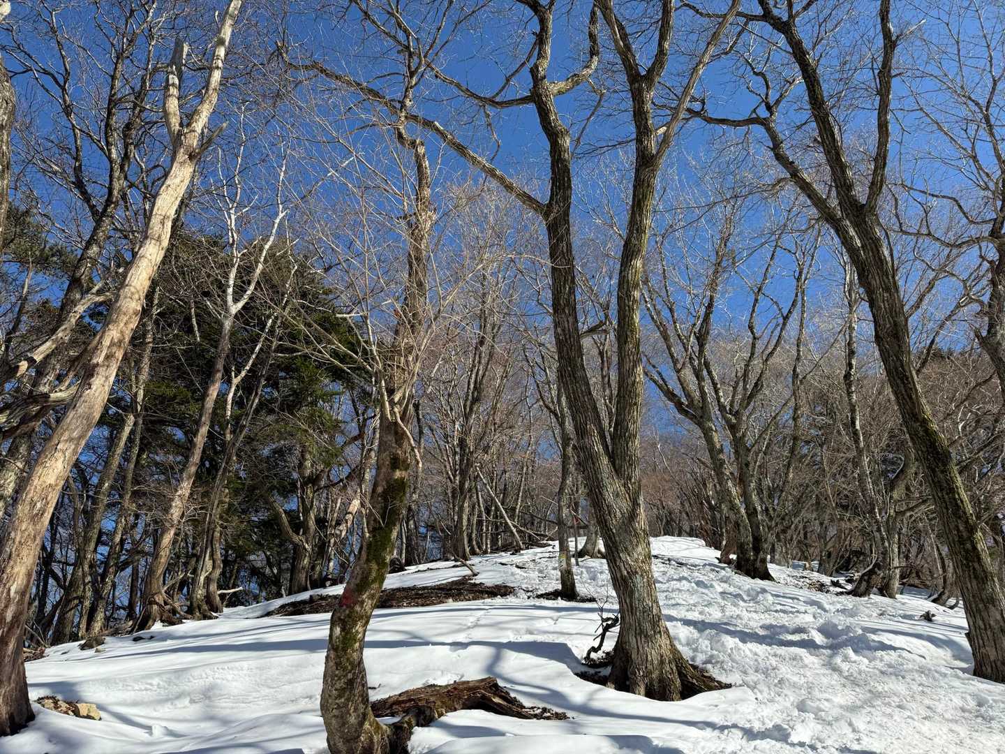 空が青くて綺麗😍