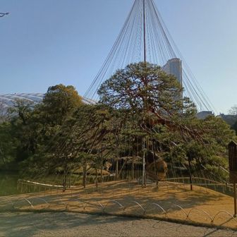 こういうのは芸術的