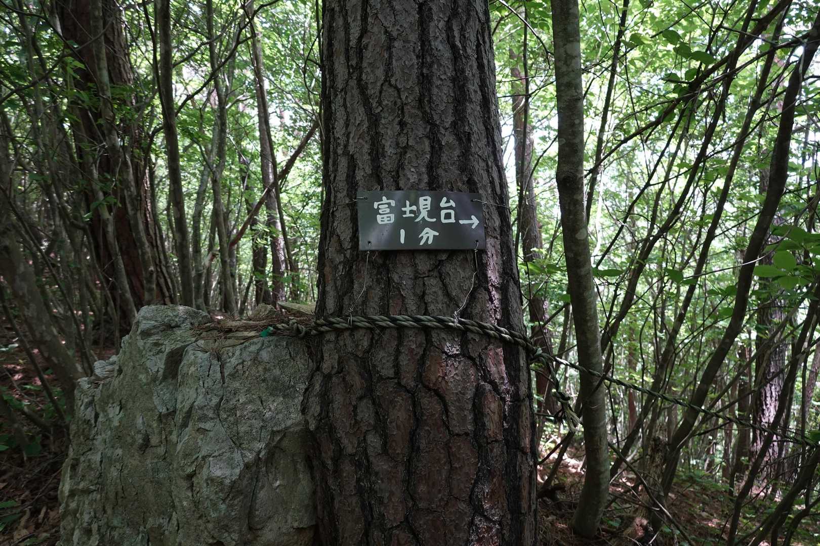 富士見台分岐