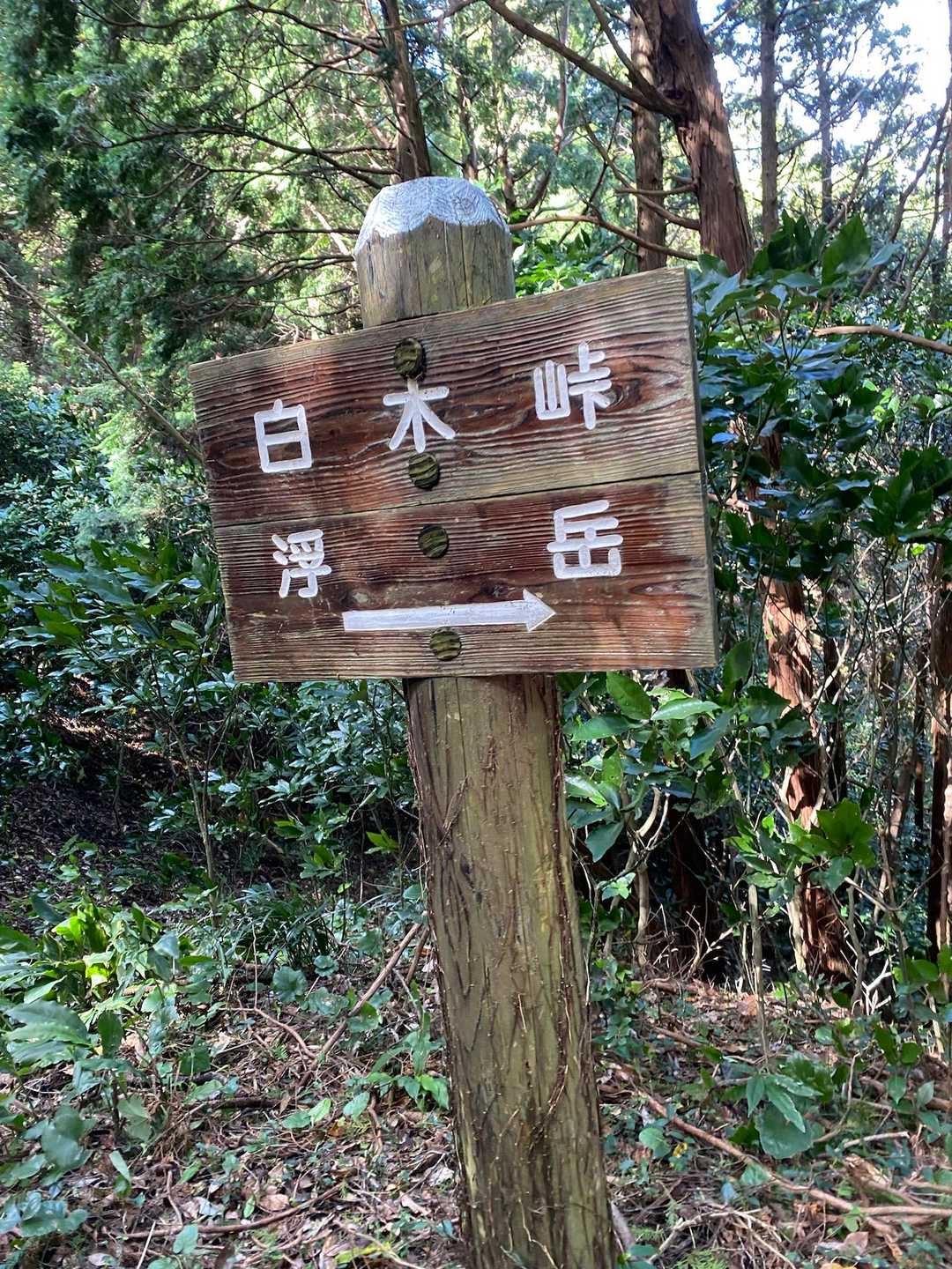 糸島4座 縦走コース（筑前深江駅-福吉駅）の写真