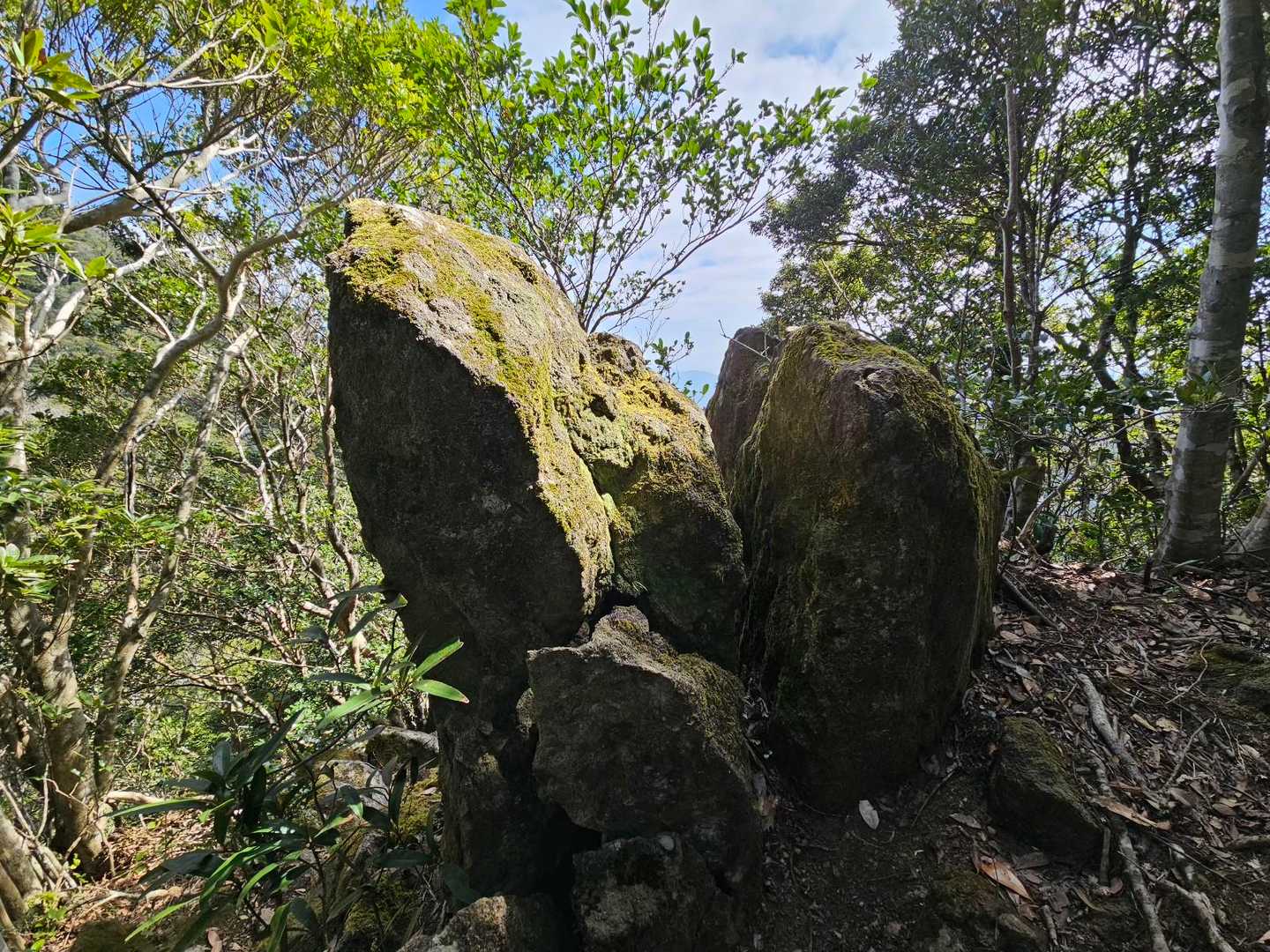 陰陽石
