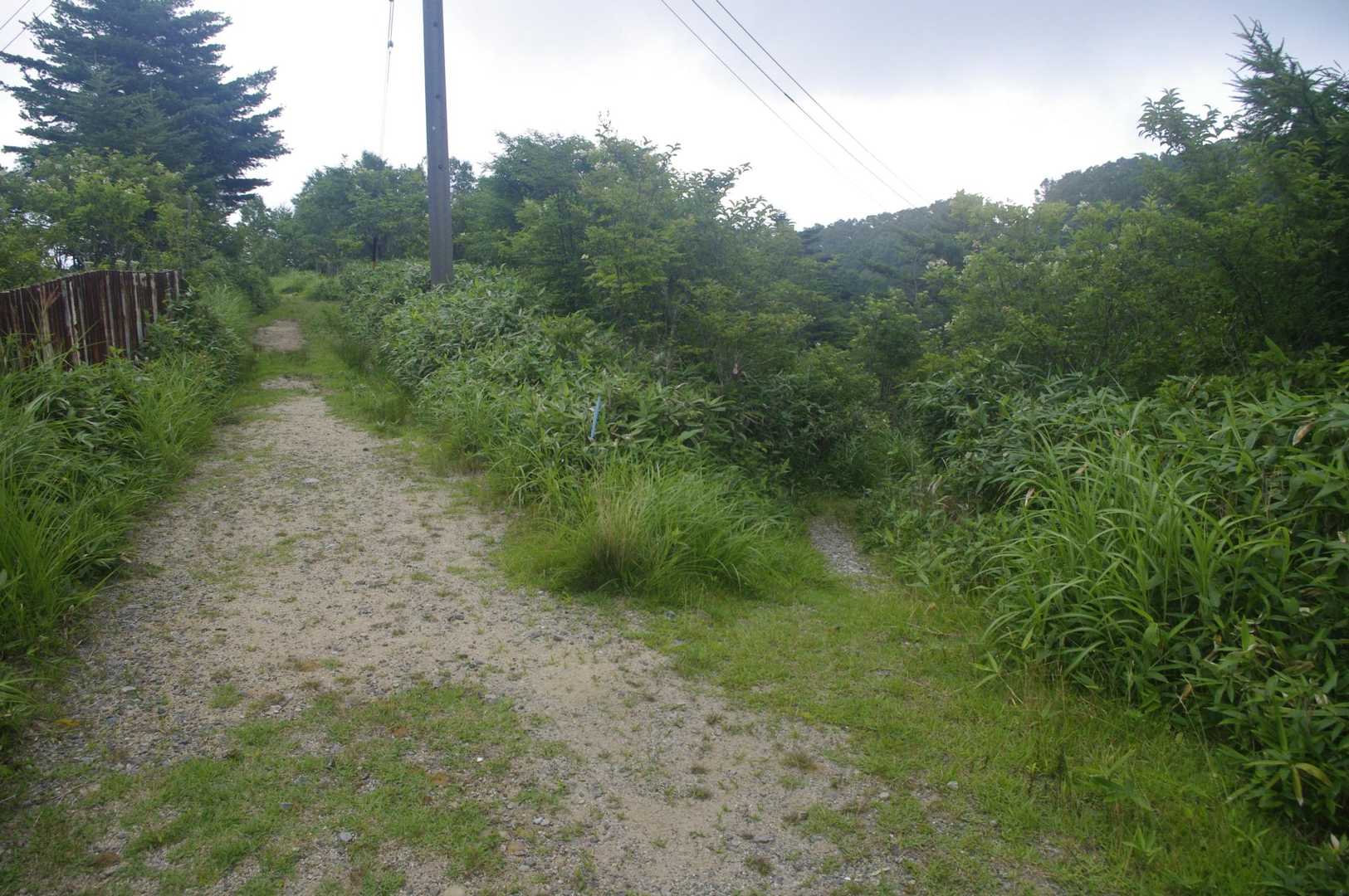 左が展望台、右が山頂
だったと思う