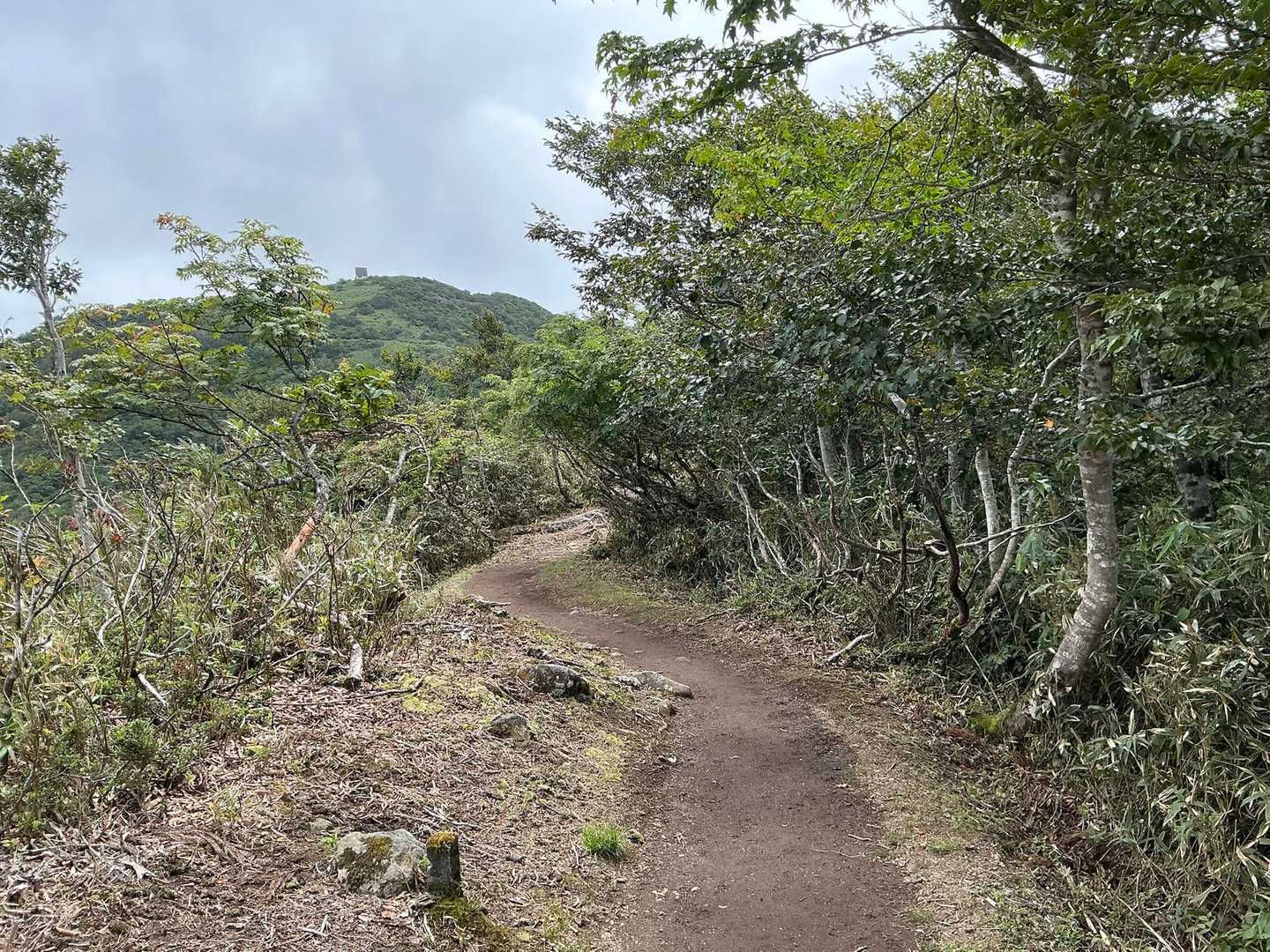 気持ちのいい道です。

遠くに氷ノ山山頂の避難小屋が見えている。
まだまだ遠い道のり(￣▽￣;)