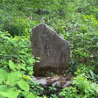 戸隠イースタンキャンプ場の入口近くに、越後道（柏原からの戸隠山道）の道標があります。
右やまみち
左ゑちご道
安政二乙卯年九月日(1855年)

駐車場に戻って終了です。今年の山行の中で一番キツかったです😓何気に累積標高は自己最高だった。キツイわけです。登山とランニングでは負荷のかかる筋肉が違うことをあらためて実感しました。おつかれYAMAP⛰️