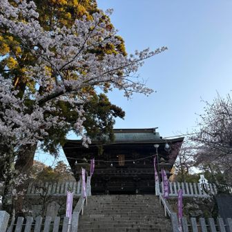 桜の季節、意外と初めてかな？