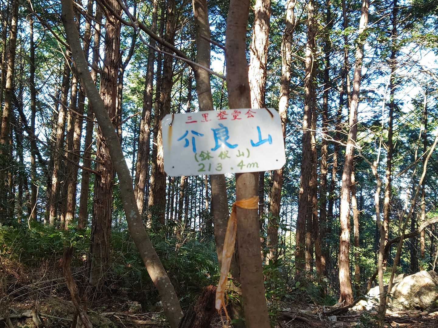「鉢伏山」は “介良山” とも言うのかなぁ？