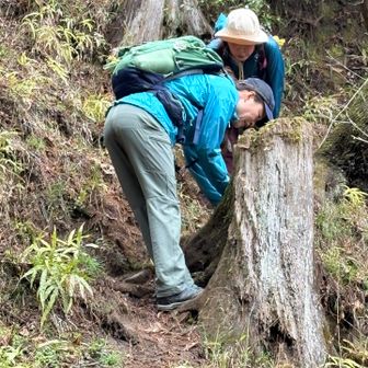 柚之木峠に戻って…🅿️方向に下山
草丈短いから踏み跡ハッキリしてます
小花を🤳❣️
ハコベ､ヤマルリソウ､タチツボスミレなど咲いてました♪
