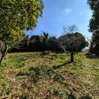 里見のお城だったそうです。