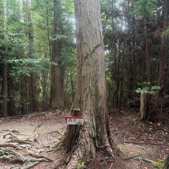 ここから蜘蛛だけでなく、田山まで中くらいの虫が顔を集中攻撃😰