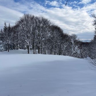 広い三本ぶな山の広場
4時間近くも掛かった(^^)