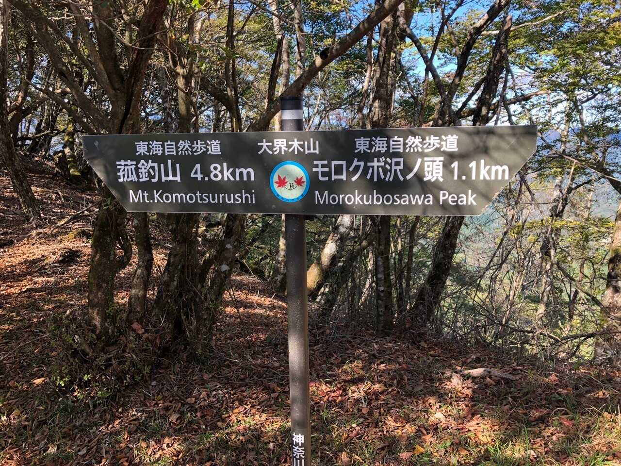 大界木山の写真