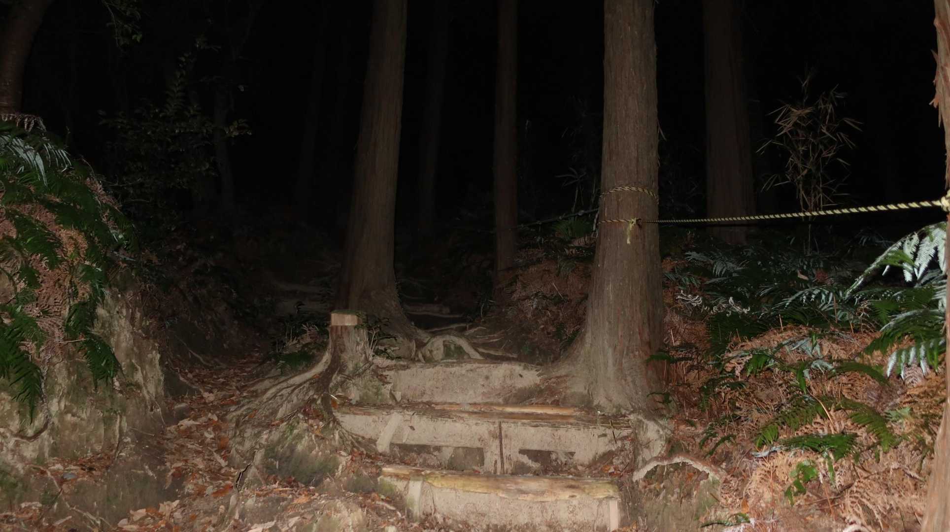 飯盛山-日向山-高地山-叶岳-叶岳登山口 縦走コースの写真