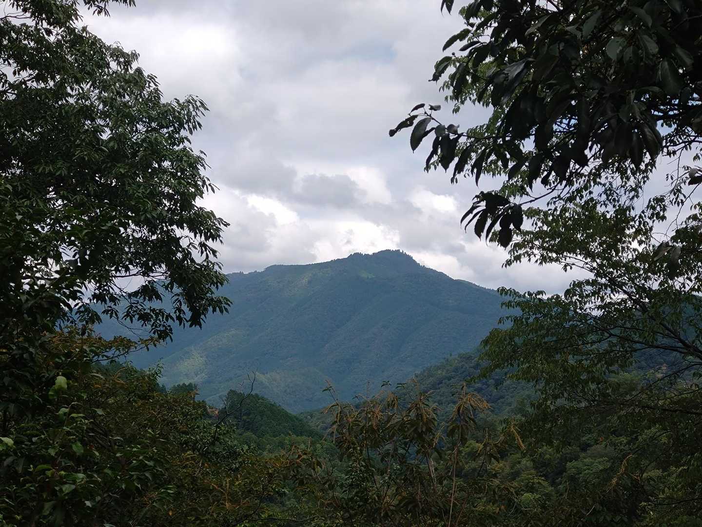 途中見えた愛宕山🏕️